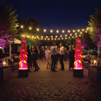Outdoor Flame Light Realistic Flickering LED Plug-In & Rechargeable