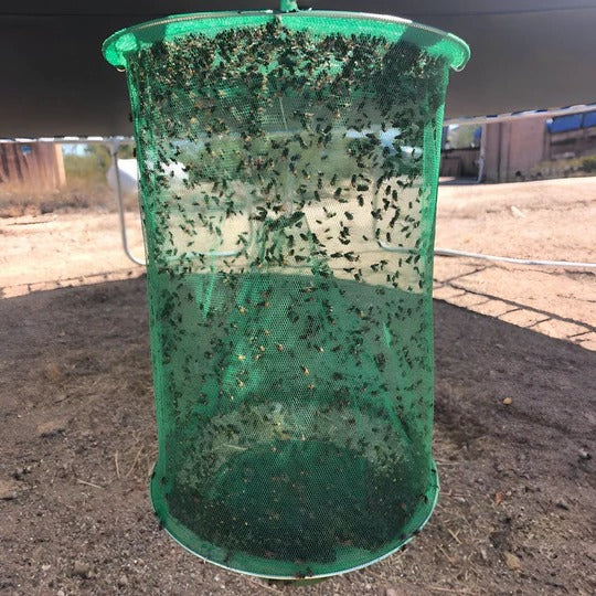 Outdoor Fly Trap High Capacity & Low-Odor