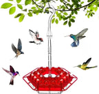 Outdoor Hummingbird Feeder Ant-Proof Moat 30 Ports