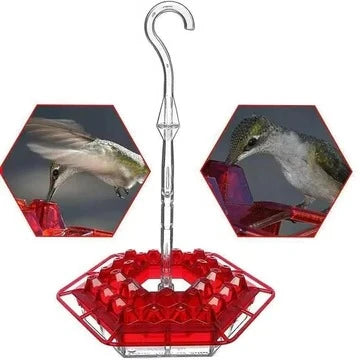 Outdoor Hummingbird Feeder Ant-Resistant 30 Feeding Ports