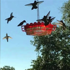 Outdoor Hummingbird Feeder Ant-Resistant 30 Feeding Ports