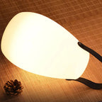 Outdoor LED Lamp Rechargeable Waterproof Remote & Timer