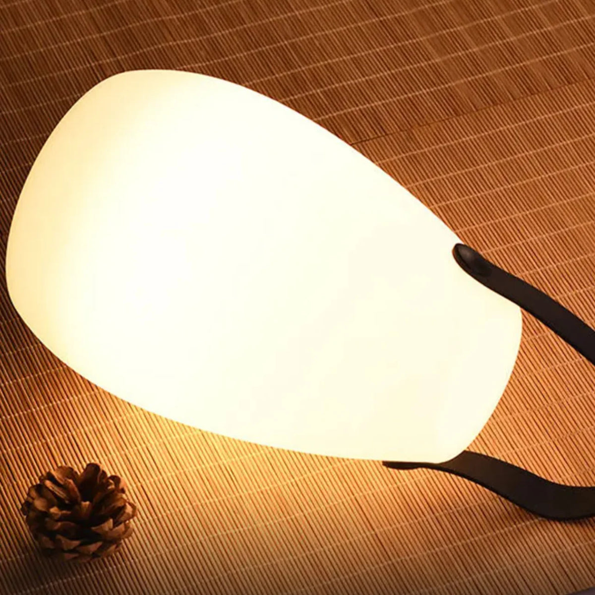 Outdoor LED Lamp Rechargeable Waterproof Remote & Timer