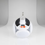 Outdoor Lantern Solar-Powered Weatherproof Adjustable Brightness