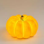 Outdoor Pumpkin Light Solar Powered Warm LED Waterproof