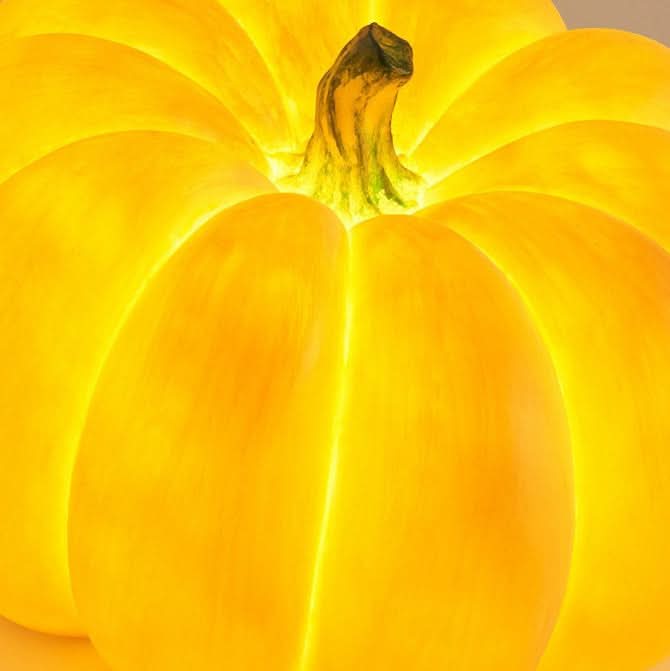 Outdoor Pumpkin Light Solar Powered Warm LED Waterproof