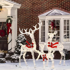 Outdoor Reindeer Set LED Illuminated Rattan Style Weather-Resistant