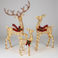 Outdoor Reindeer Set of 3 Warm White LED