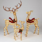 Outdoor Reindeer Set of 3 Warm White LED