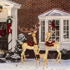 Outdoor Reindeer Set of 3 Warm White LED