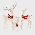 Outdoor Reindeer Set of 3 Warm White LED
