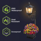 Outdoor Solar Light Automatic Dusk-To-Dawn Built-In Planter Crackle Glass