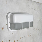 Outdoor Wall Lamp Weather-Resistant Brass & Glass