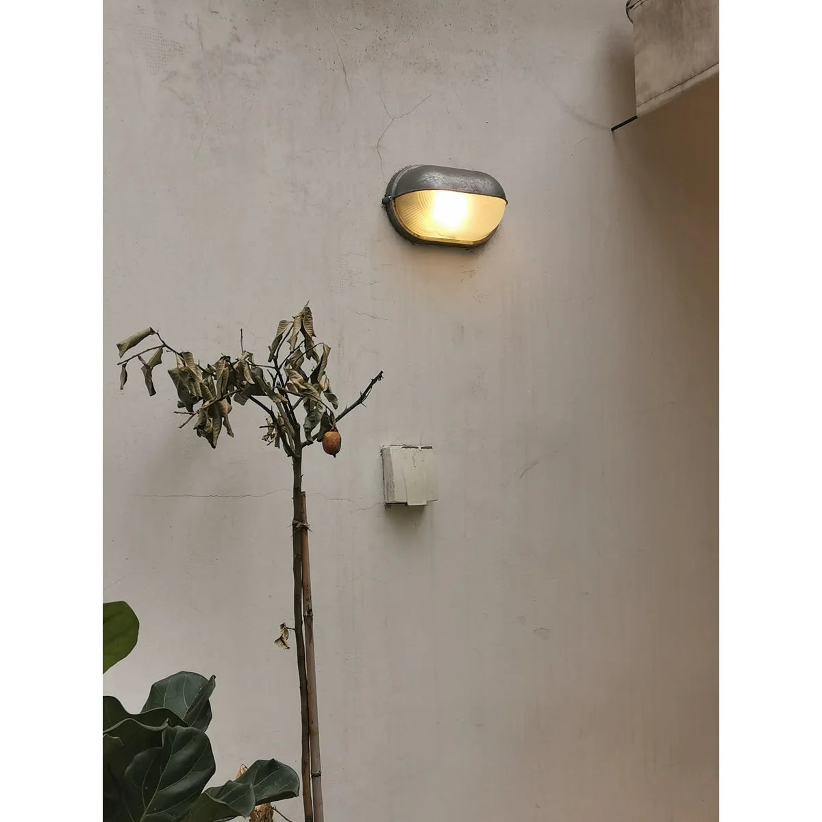 Oval Bulkhead Wall Light Weather-Resistant Galvanized Metal & Ribbed Glass