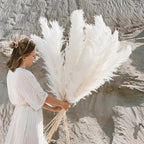 Pampas Grass Stems Dried Natural 43-47 Inch