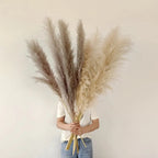 Pampas Grass Stems Dried Natural 43-47 Inch