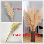 Pampas Grass Stems Dried Natural 43-47 Inch