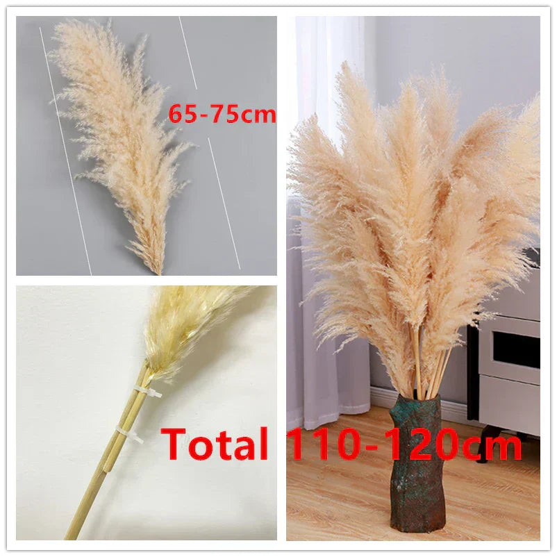 Pampas Grass Stems Dried Natural 43-47 Inch