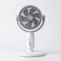 Pedestal Fan Whisper-Quiet Remote & 5 Speeds