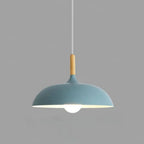 Pendant Ceiling Light Oak & Iron Adjustable Cord