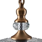 Pendant Lamp Floral Glass Brass Finish