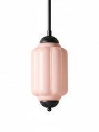 Pendant Lamp Glass Shade & Metal Trim