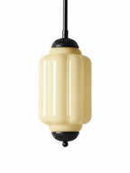 Pendant Lamp Glass Shade & Metal Trim