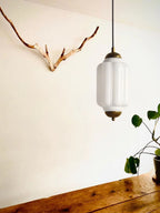 Pendant Lamp Glass Shade & Metal Trim