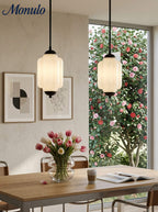 Pendant Lamp Glass Shade & Metal Trim