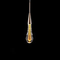 Pendant Lamp Integrated LED Clear Glass & Gold Finish