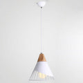 Pendant Lamp Metal Wire Cage & Adjustable Height