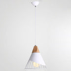 Pendant Lamp Metal Wire Cage & Adjustable Height