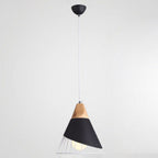 Pendant Lamp Metal Wire Cage & Adjustable Height