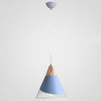 Pendant Lamp Metal Wire Cage & Adjustable Height