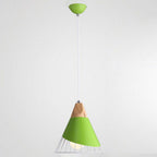 Pendant Lamp Metal Wire Cage & Adjustable Height
