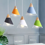 Pendant Lamp Metal Wire Cage & Adjustable Height