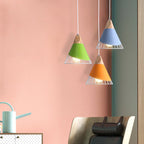 Pendant Lamp Metal Wire Cage & Adjustable Height