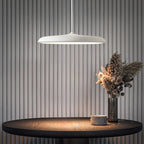 Pendant Lamp Scandinavian LED Aluminum Adjustable Height