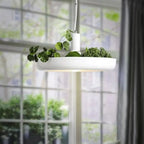 Pendant Lamp With Integrated Planter