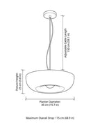 Pendant Lamp With Integrated Planter