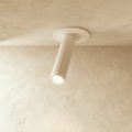 Pendant Light Adjustable 60 Degree Beam Aluminum