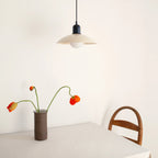Pendant Light Colorful Dome Iron Enamel Adjustable Cable