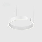 Pendant Light Dual-Ring Warm White LED Adjustable Height