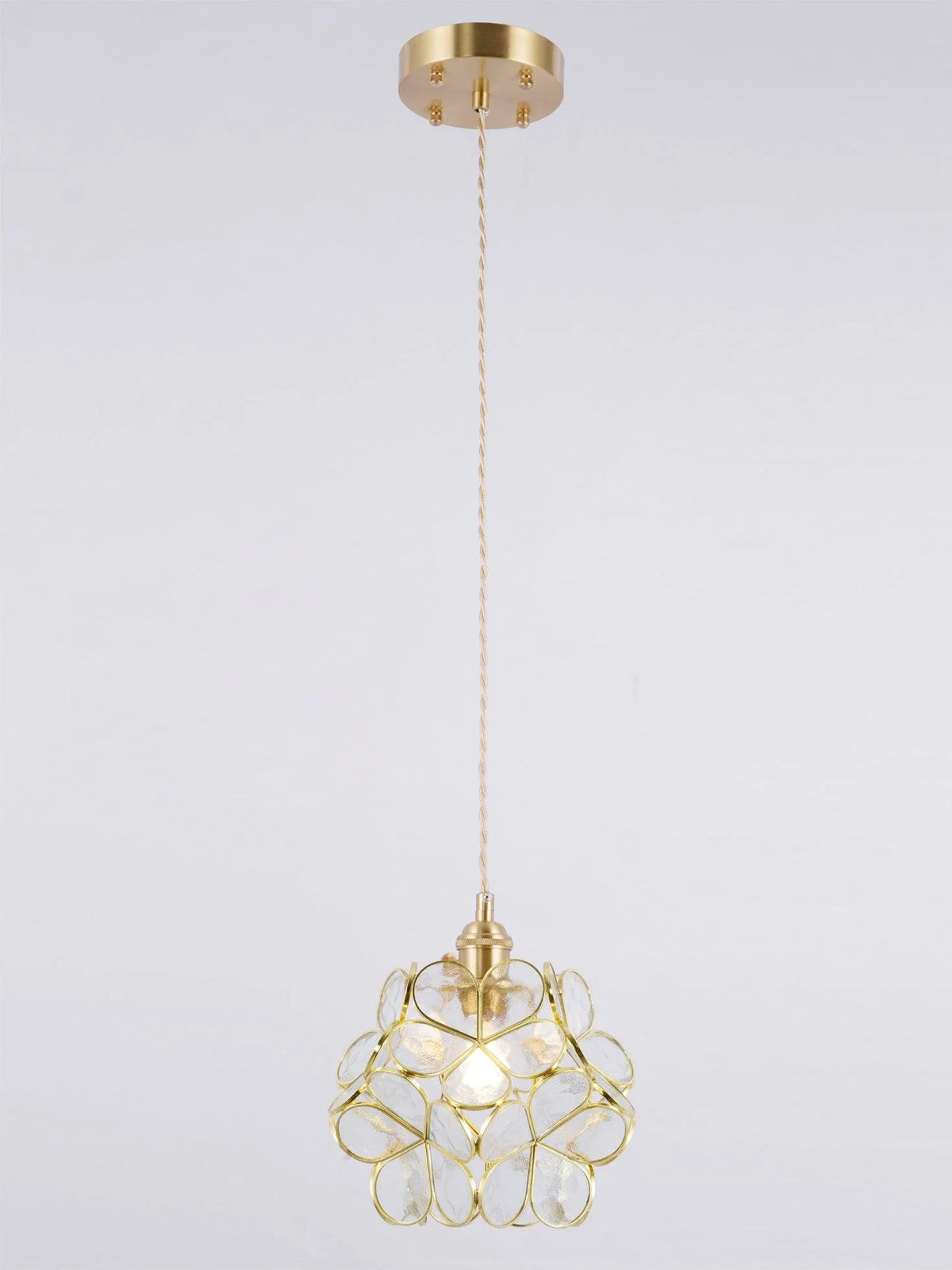 Pendant Light Hand-Blown Glass Petal Shade Brass Socket