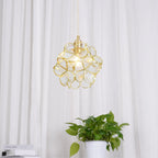 Pendant Light Hand-Blown Glass Petal Shade Brass Socket
