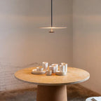 Pendant Light Minimalist Ring Iron & Acrylic