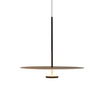 Pendant Light Minimalist Ring Iron & Acrylic