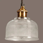 Pendant Light Retro Glass Shade Iron Frame Adjustable Cable