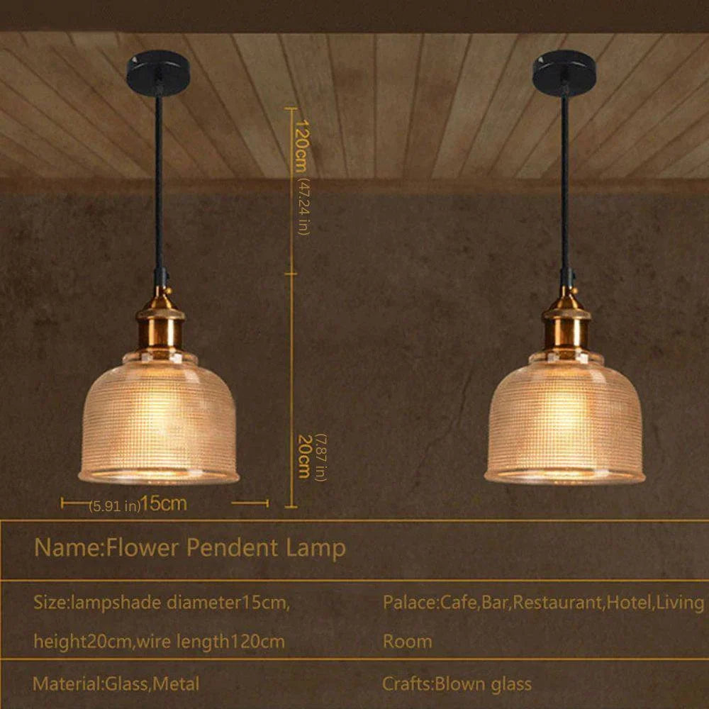 Pendant Light Retro Glass Shade Iron Frame Adjustable Cable