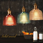 Pendant Light Retro Glass Shade Iron Frame Adjustable Cable